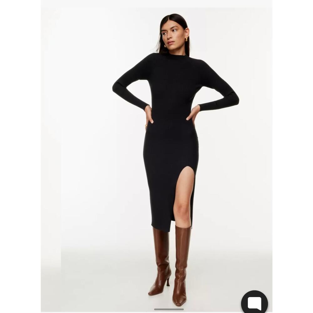 NWT Wilfred Alchemy Dress Mock-neck sweater dress. Sold at Aritzia. Sz: XS